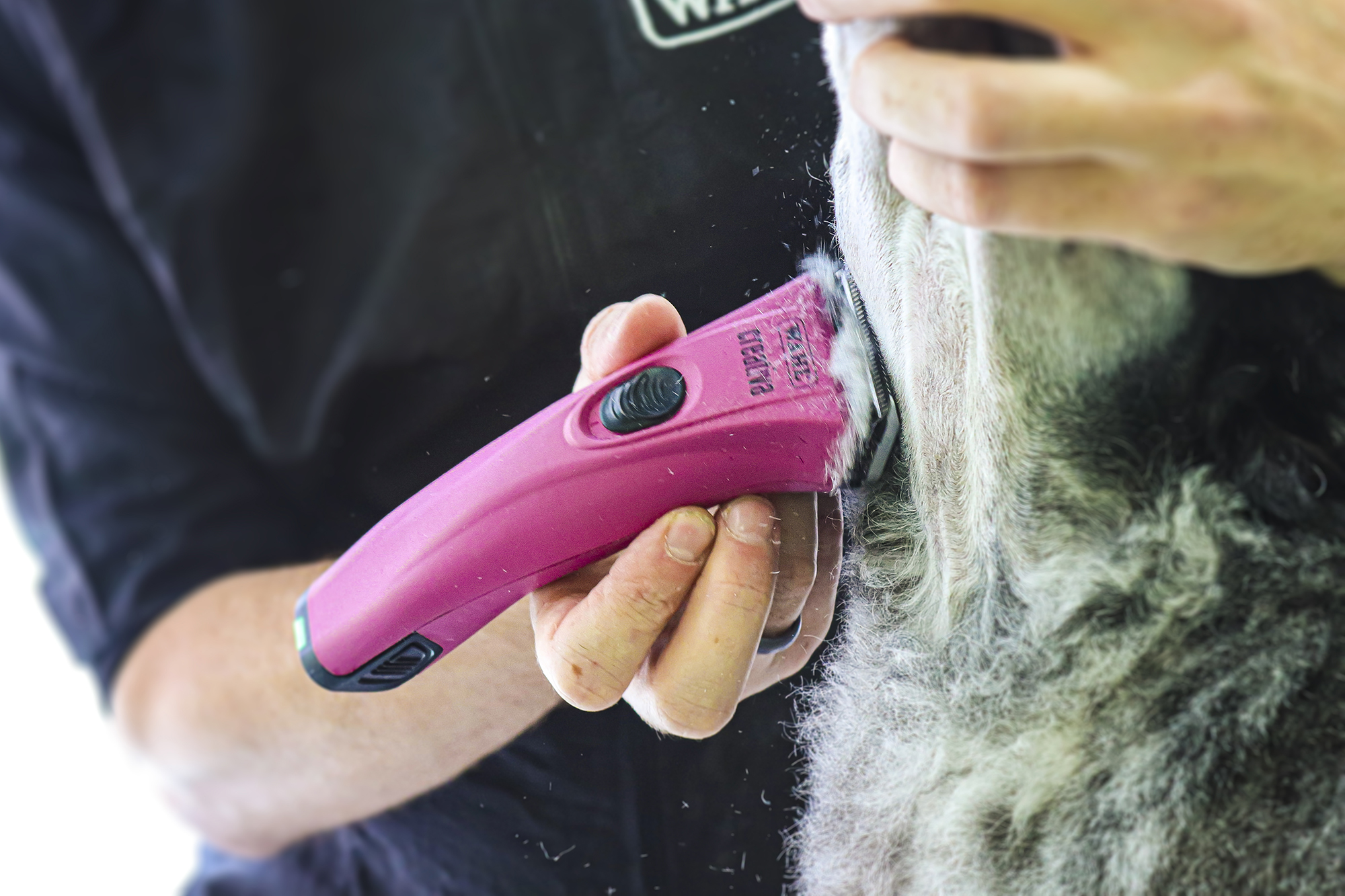 Creativa Pet Clipper