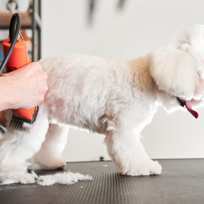 Clipper Combs for Grooming Dogs Animal Grooming