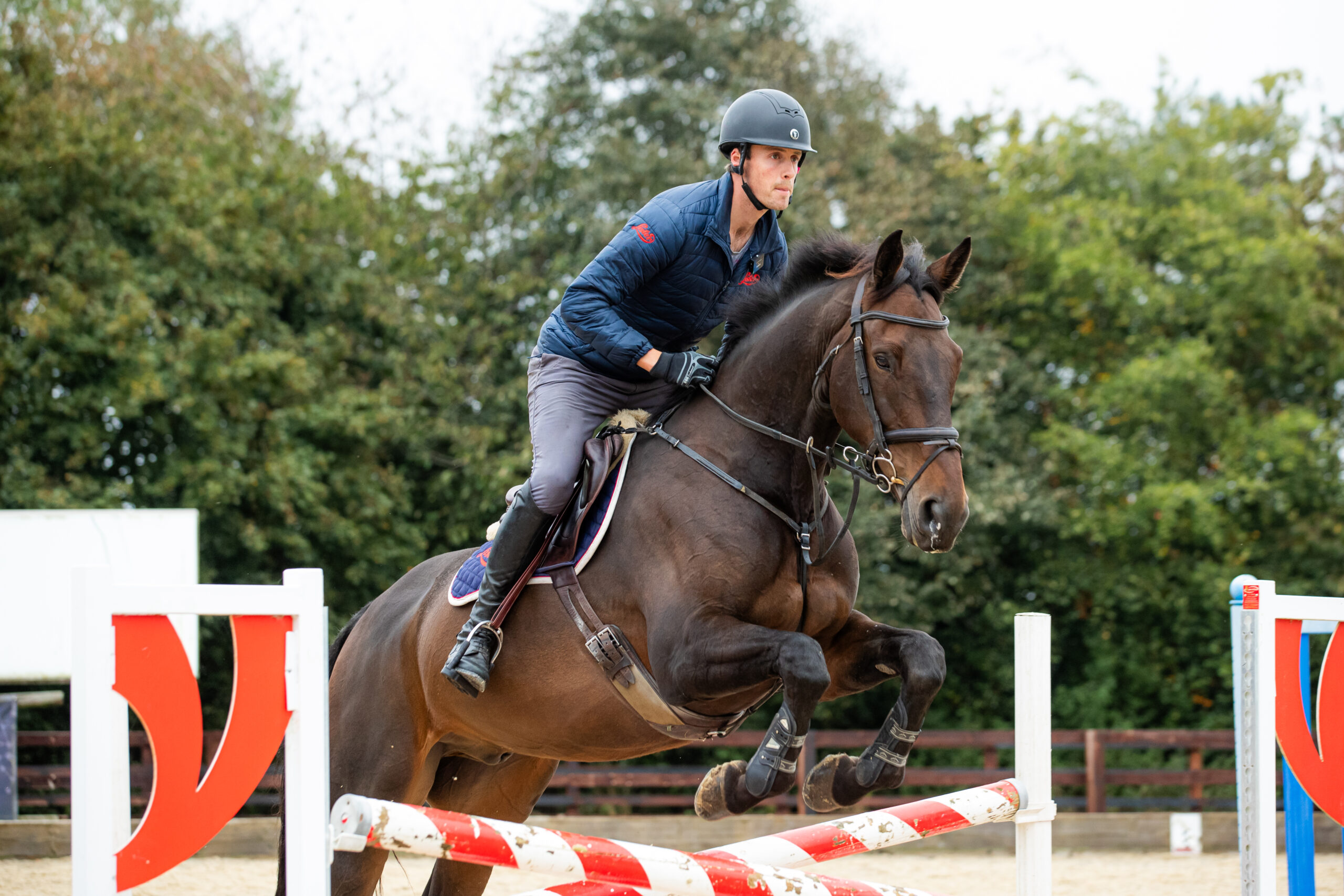 horse jumping
